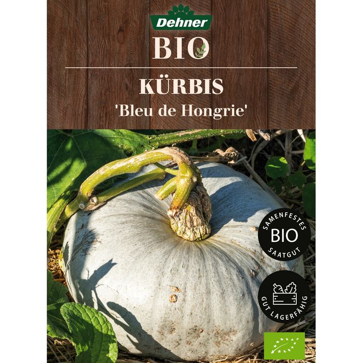 erdbeer saatgut Saatgut Erdbeere – Karls Kunsthaus main image 1
