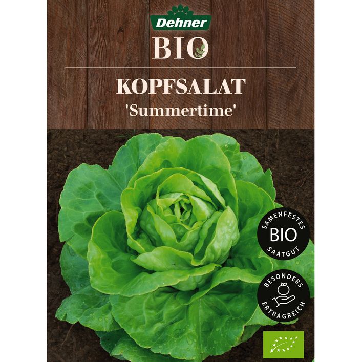 Dehner Bio-Saatgut Kopfsalat 'Summertime' | Dehner