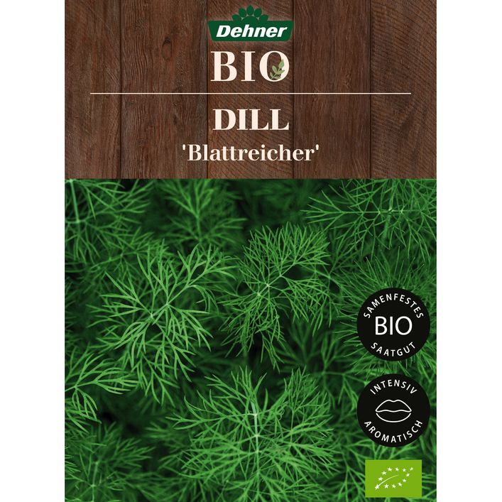 Dehner Bio-Saatgut Dill 'Blattreicher' | Dehner