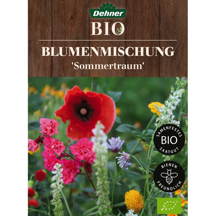 drachenbaum knstlich Knstliche Pflanze - Dracaena - Drachenbaum