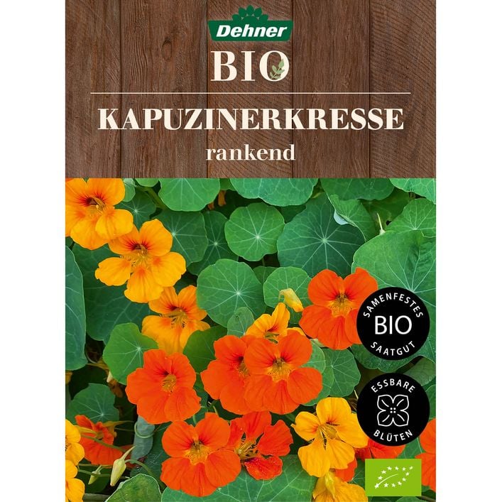 dicke bohnen saatgut kaufen Bio-Dicke Bohne 'Aquadulce' kaufen