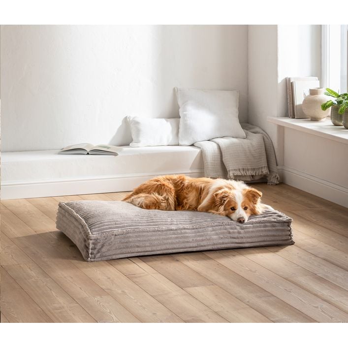 aufbewahrungs schrank Aufbewahrungsschrank Esche natur Regal & Schrank 2in1