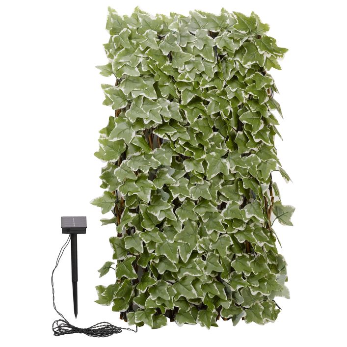Smart Garden Solar-Spalier Efeu, ca. 180 cm | Dehner
