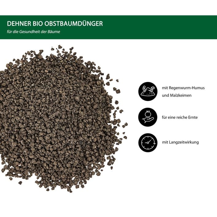 wann kirschlorbeer düngen Kirschlorbeerdünger main image 0