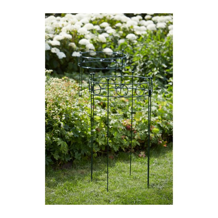 Pflanzenstützen Für Garten Und Balkon – Stabil Und Einfach Zu Verwenden