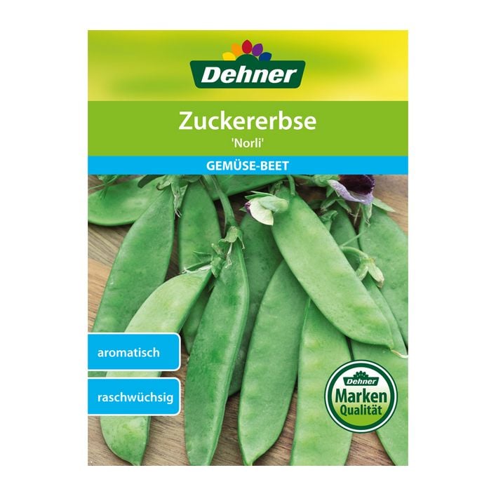 BIO Erbsensamen Norli – Zuckererbse, Frühe Sorte, Ca. 150 Pflanzen, Resistent Gegen Fusariumwelke