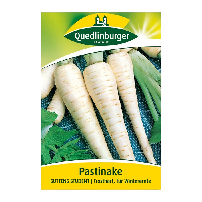 Quedlinburger Samen Pastinake 'Suttens | Dehner