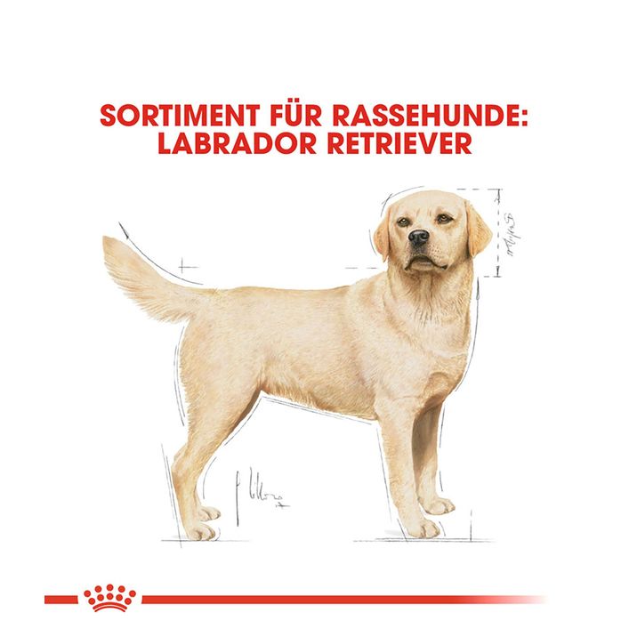 ROYAL CANIN® Trockenfutter für Hunde | Dehner