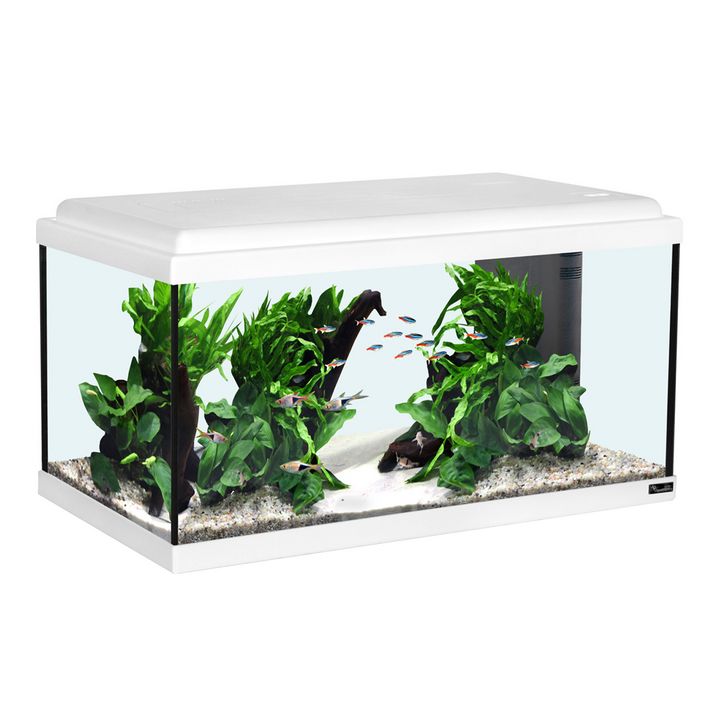 Creative Lights AQUARIUM MONDLICHT LED-Leiste 120 Cm + Dimmer - Blaue Nachtbeleuchtung Für Aquarien