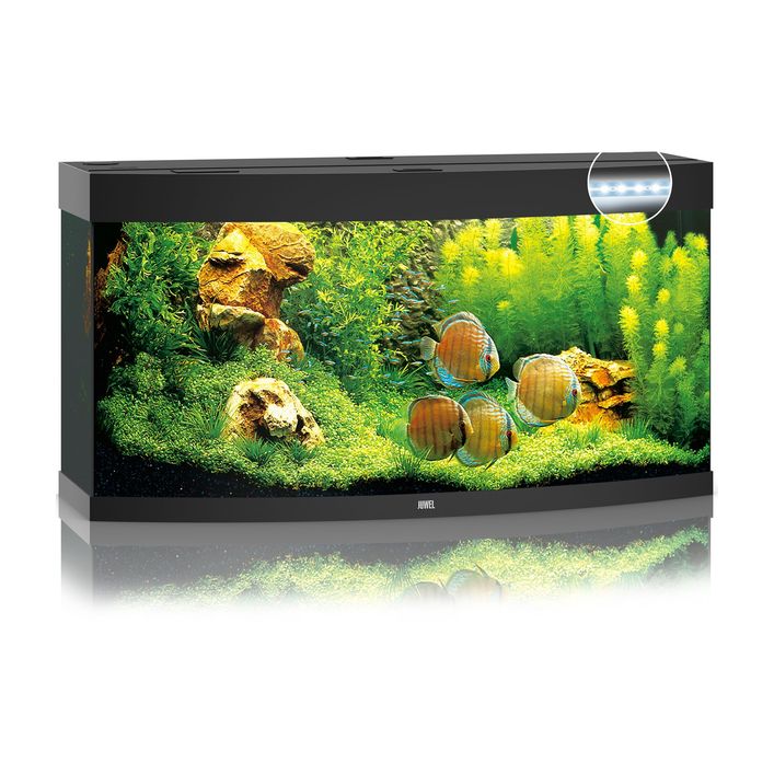 AQUARIUM VON JUWEL 260 LITER LIFERN MÖGLICH cheapest