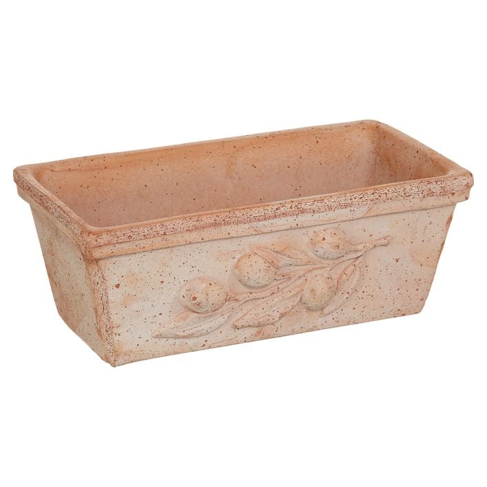 Degrea Terrakotta-Blumenkasten mit Olivendekor | Dehner