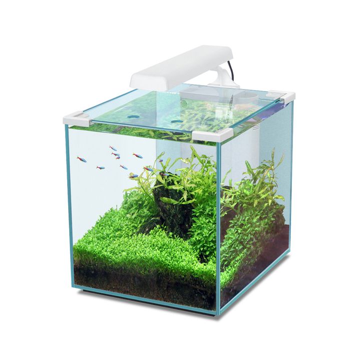 Sale Nano Aquarium 30x30x35 30 Liter mit Besatz