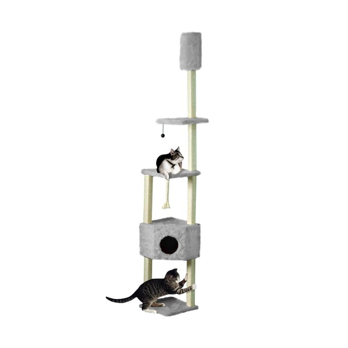 Cat Dream Eck-Kratzstamm | Dehner
