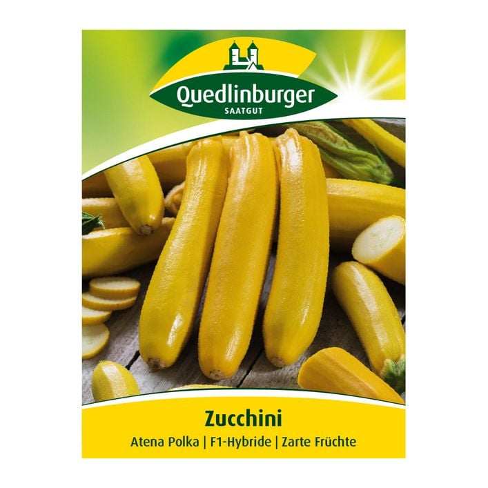 Quedlinburger Samen Zucchini 'Atena Polka' | Dehner