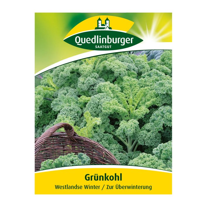 Quedlinburger Samen Grnkohl 'Westlandse | Dehner