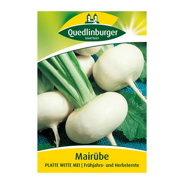 Quedlinburger Samen Mairbe 'Platte Witte | Dehner