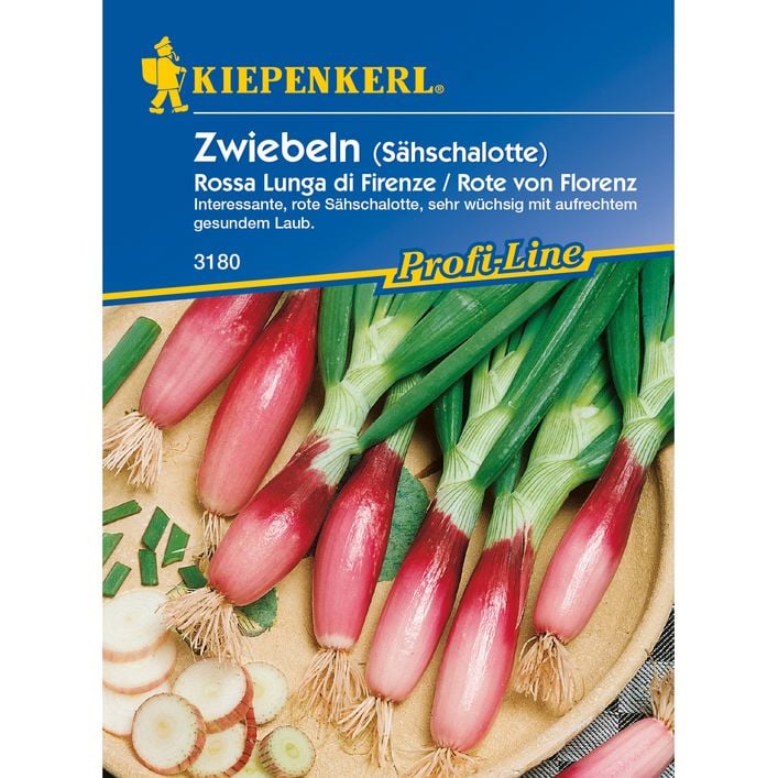 frhlingszwiebel saatgut Frhlingszwiebel Samen | Gemse