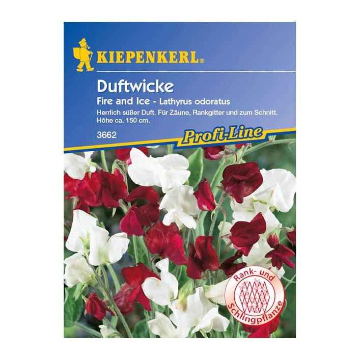 Kiepenkerl Saatgut Duftwicke Fire and Ice | Dehner