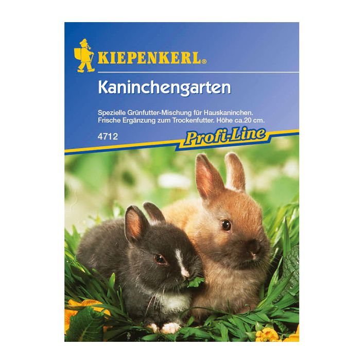 künstliche pflanzen für terrarium Terrarium DIY Set - Kreiere dein eigenes Mini-Ökosystem