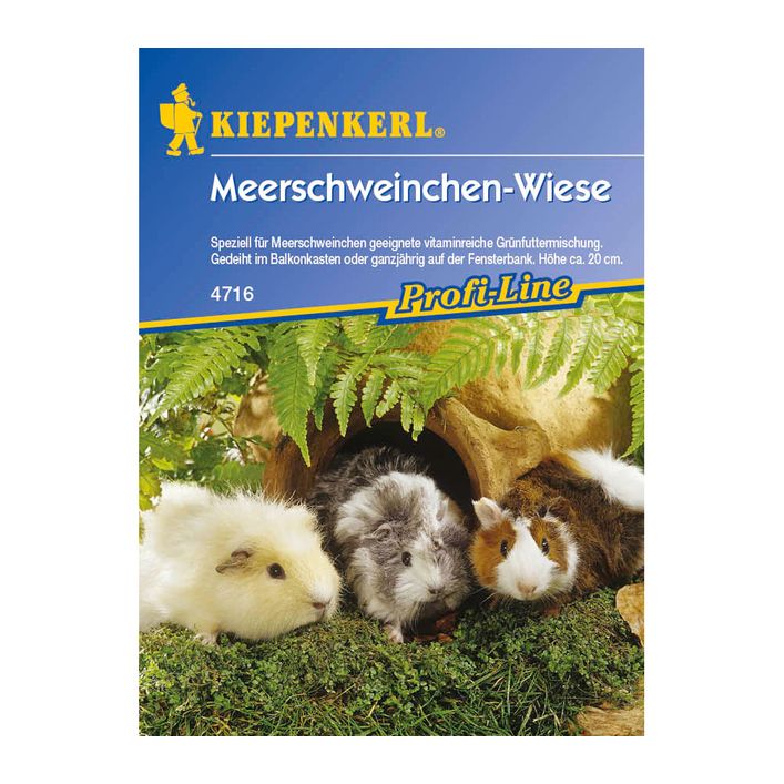 Meerschweinchen-Wiese, Saatgut von Kiepenkerl | Dehner