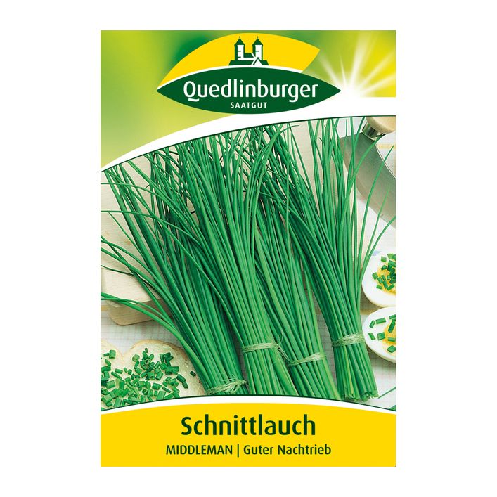 Quedlinburger Samen Schnittlauch 'Middleman' | Dehner