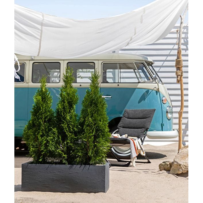 Dehner Kunststoff-Blumenkasten Palermo, ca. | Dehner