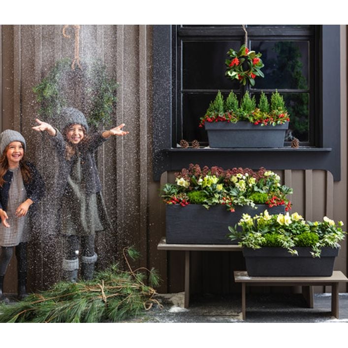 blumenkasten mit rankgitter für balkon robinia-pro PFLANZKASTEN mit RANKGITTER klassisch, auf Rollen – robinia24