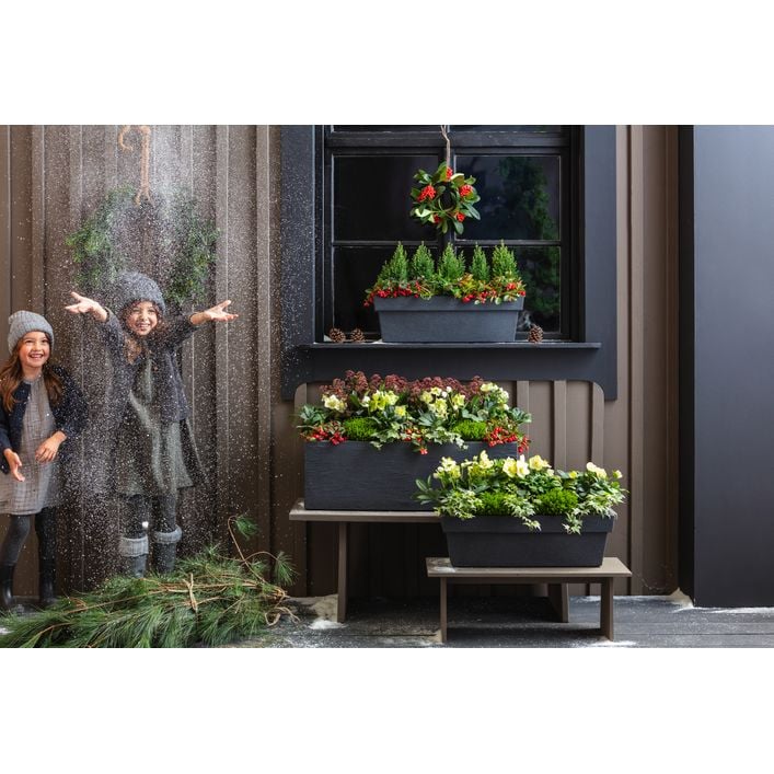blumenkasten 25 cm tief Neu !! Kleiner Pflanzkasten 25 cm breit mit je 2 Henkel aus Weide Blum – La  Casa main image 0