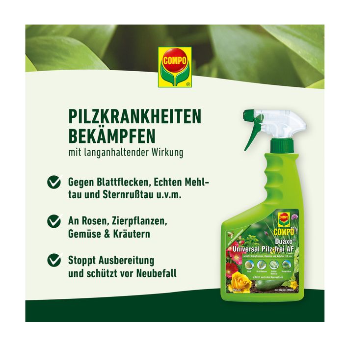bio weizen saatgut kaufen Weizen keimfähige Bio-Saat, 1 kg – Eschenfelder main image 1