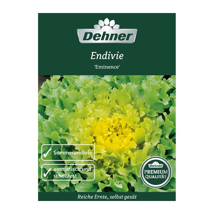 Dehner Premium Samen Endivien 'Eminence' | Dehner