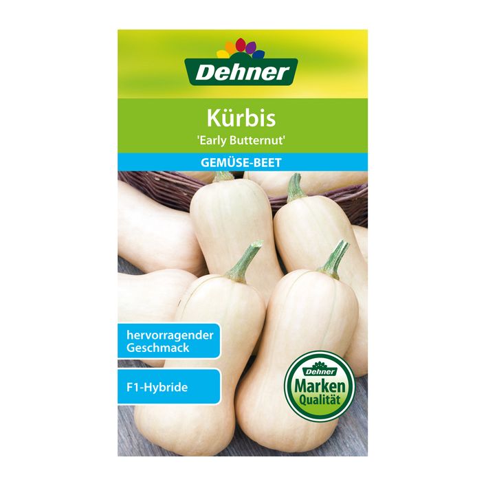 Butternut Krbis Samen