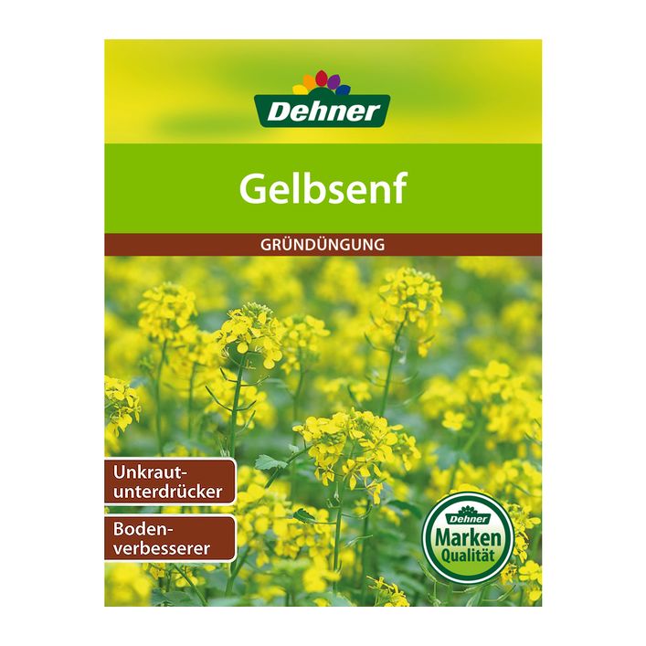 musa basjoo düngen Bananenpflanze Musa basjoo für Garten und Kübel