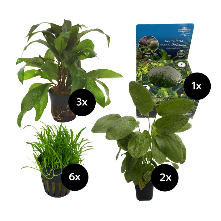 2 Stück Aquarien Pflanzenhalter – Wandhängender Blumentopf Mit Bewurzelungsloch Für Wasserpflanzen | Aquarium Zubehör