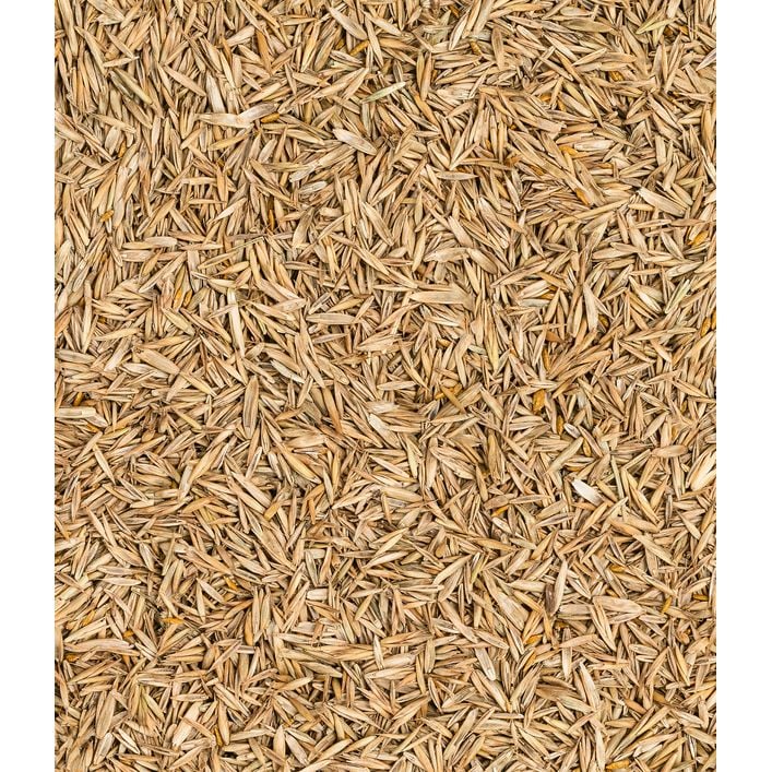 olivenbaum künstlich Künstlicher Olivenbaum naturgetreu 165cm – Katie Fischer
