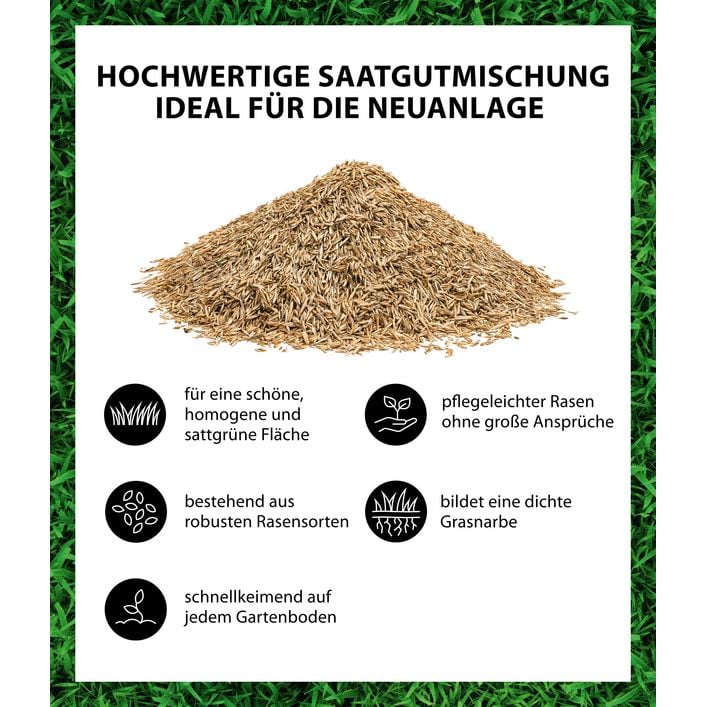 Dehner Saatgut Universalrasen, 500 g | Dehner