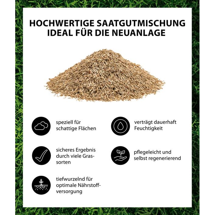 nordmanntanne knstlich 210 cm Nordmanntanne 210 cm mit toller Lichterkette