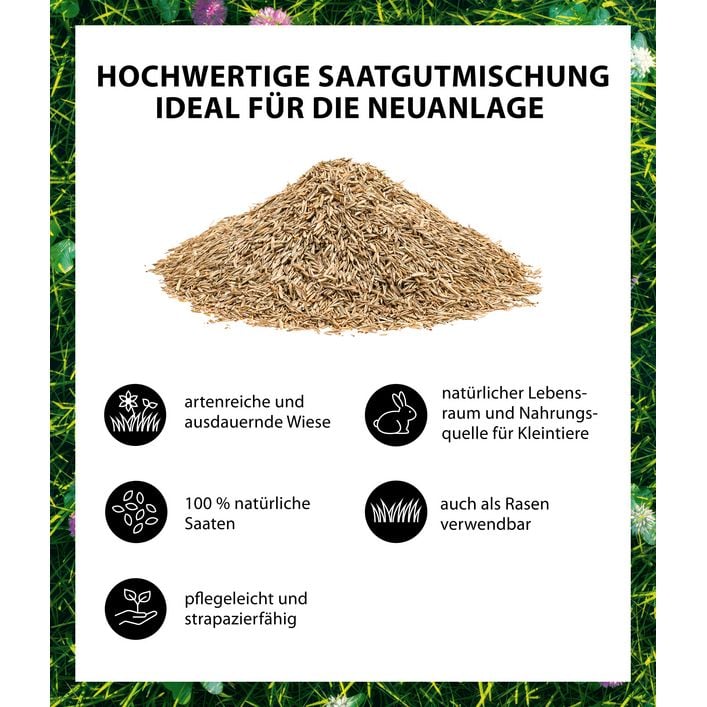 Dehner Bio Saatgut Naturwiese, 250 g | Dehner