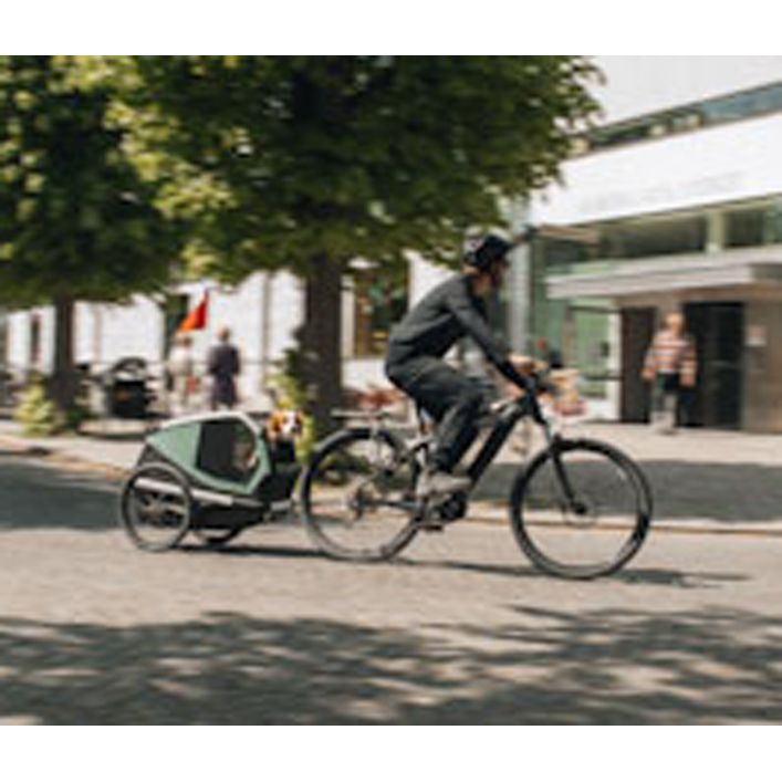 THULE Bexey Hunde-Fahrradanhnger, Hazy | Dehner