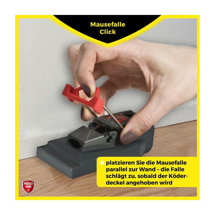 PROTECT HOME Mausefallen Click, 3 Stk. | Dehner
