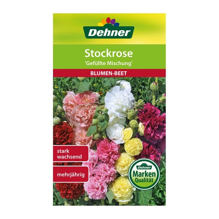 Dehner Samen Stockrose 'Gefllte Mischung' | Dehner