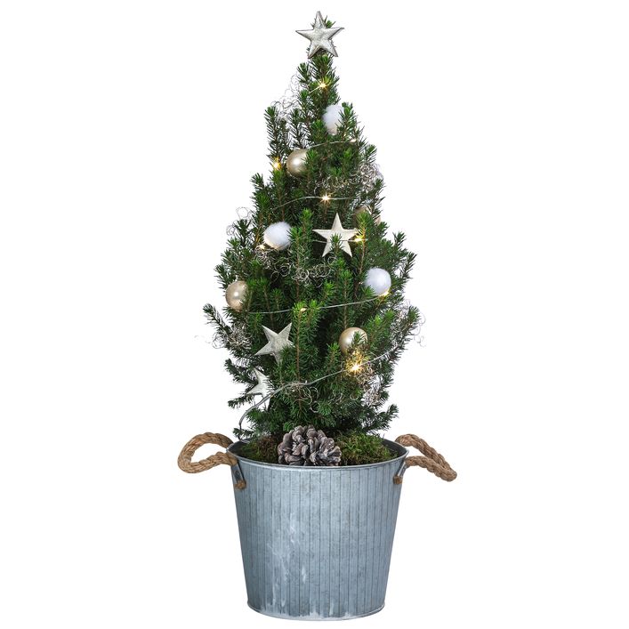 Geschmckter Weihnachtsbaum Linus, | Dehner