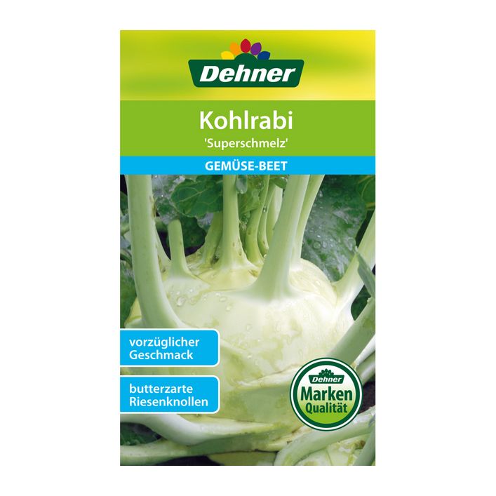Kohlrabi Superschmelz Saatgut – Ertragreiche, Zarte & Nicht Holzige Riesen-Kohlrabi-Sorte