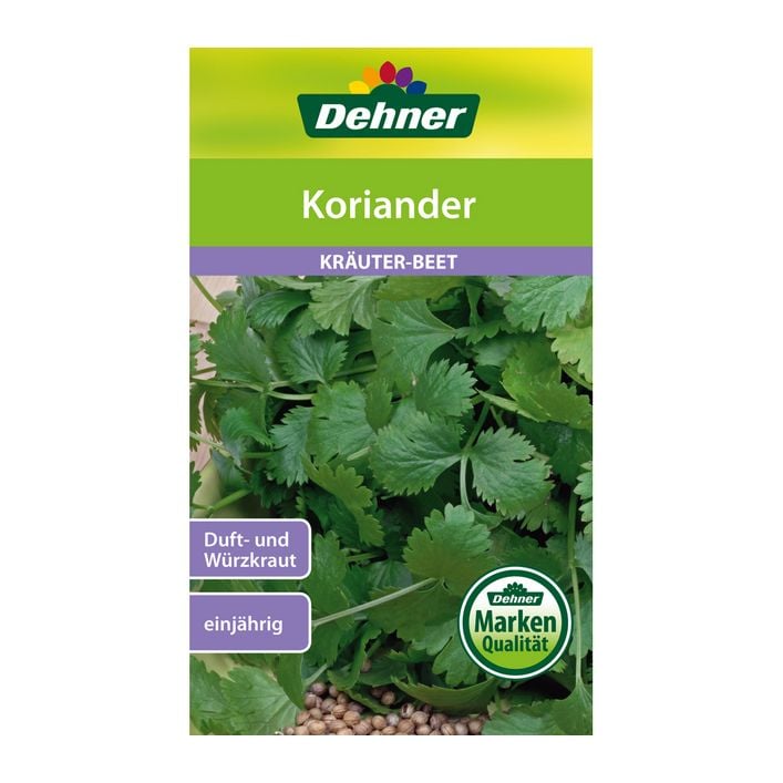 Dehner Samen Koriander | Dehner