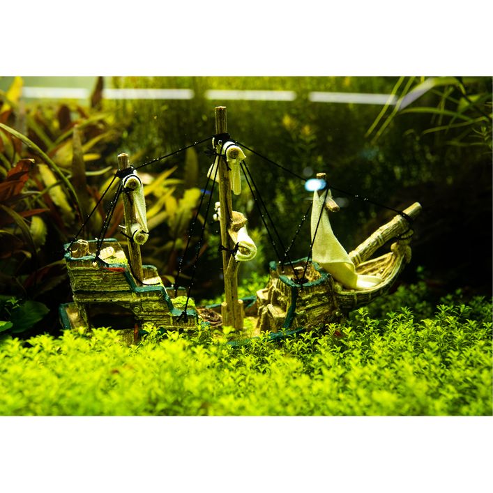 Nobby Aquariumdeko Schiff, ca. B33/H23/T13 cm | Dehner