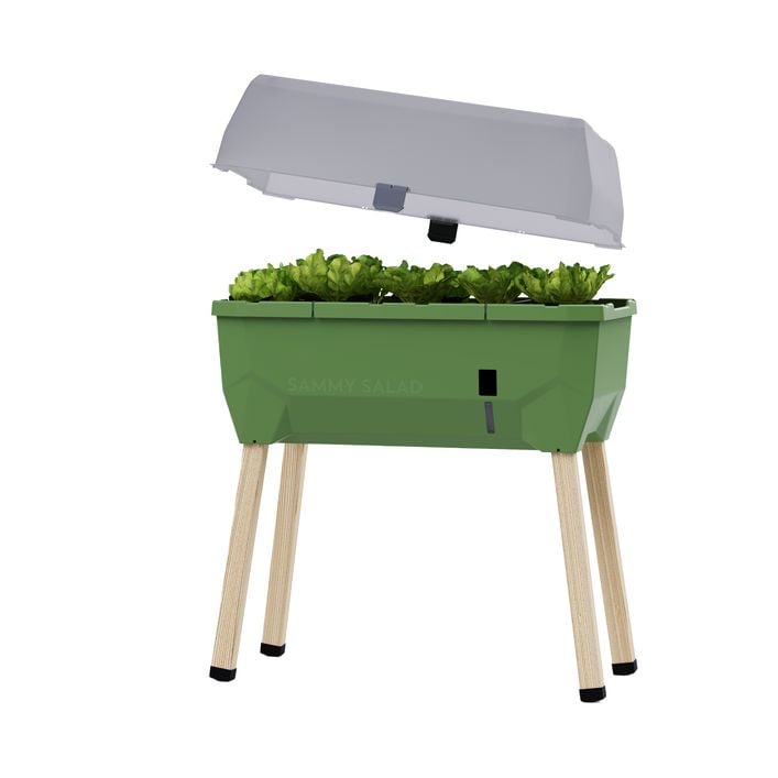 Gusta Garden Mini-Hochbeet Sammy Salad, inkl. | Dehner