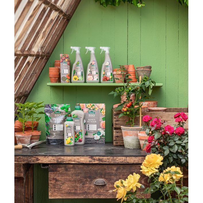 Dehner Bio Gemse-Dnger, flssig, 1 l | Dehner