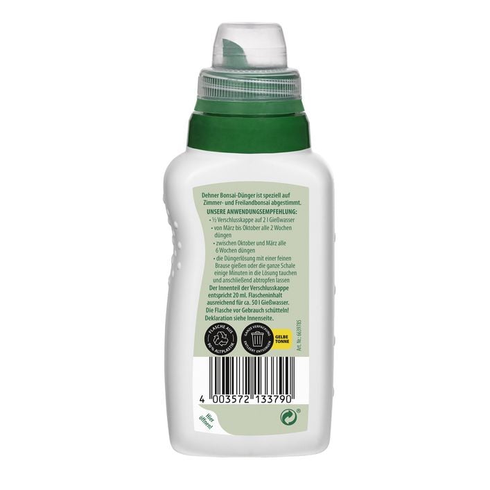 zimmerpflanze bambus Bambuspflanze in Hydrokultur kaufen – Green Me Up main image 0