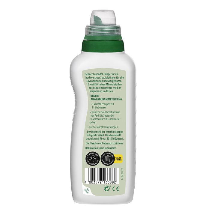 pachira düngen Glückskastanie (Pachira aquatica) kaufen main image 1