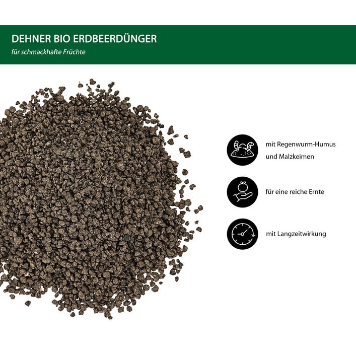 rosen düngen flüssigdünger Rosen-Flüssigdünger 500 ml