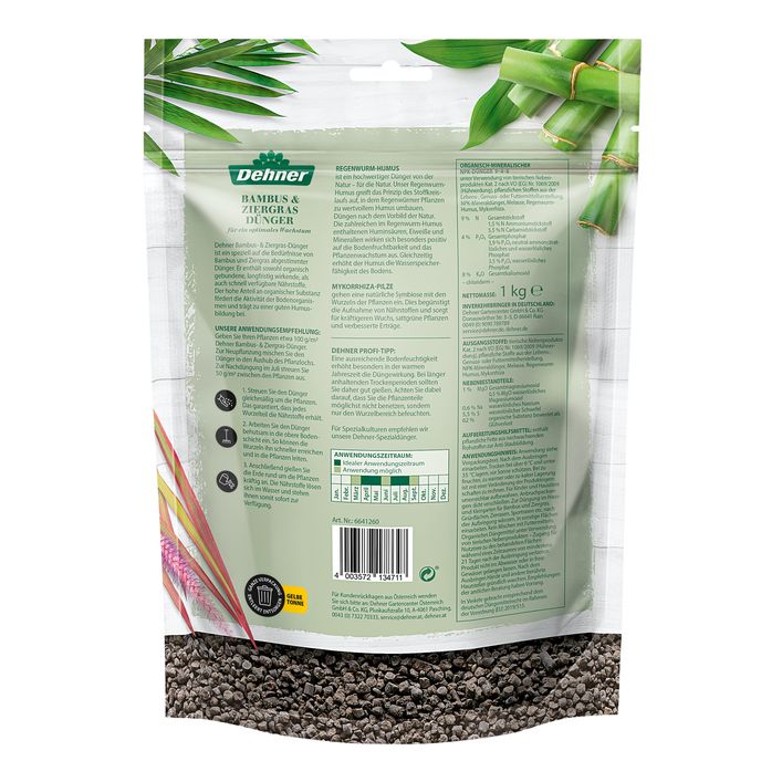 bananenpflanze musa kaufen Banane - Musa - 150cm